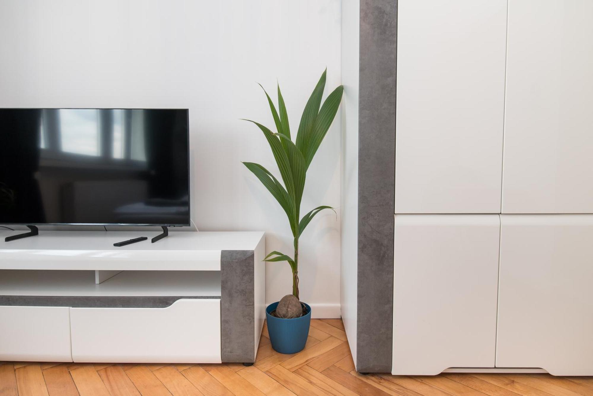 גליביצ'ה Apartament Dworcowa 24 מראה חיצוני תמונה